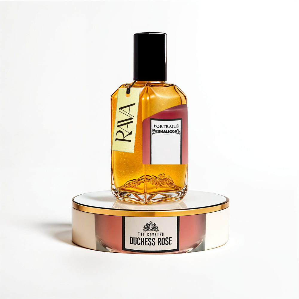 The Coveted Duchess Rose